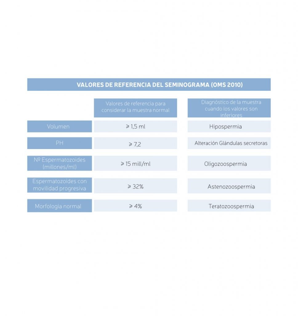 Seminograma Qu Necesitas Saber Sobre El An Lisis De Esperma