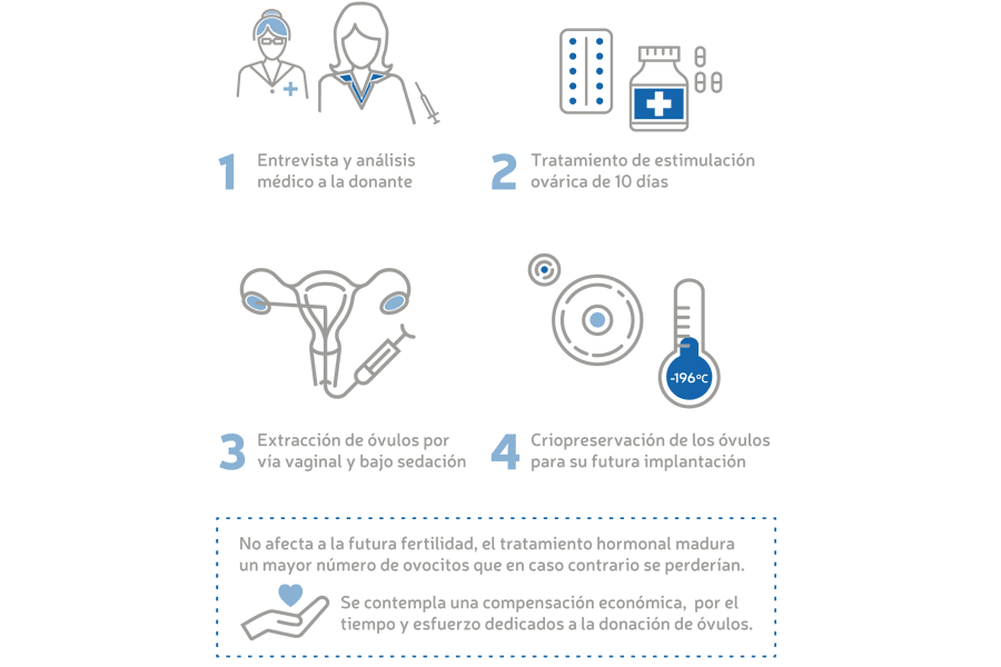 Infografía Donante de óvulos